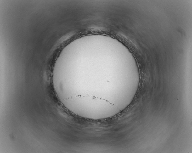 X0000112371207200909031924