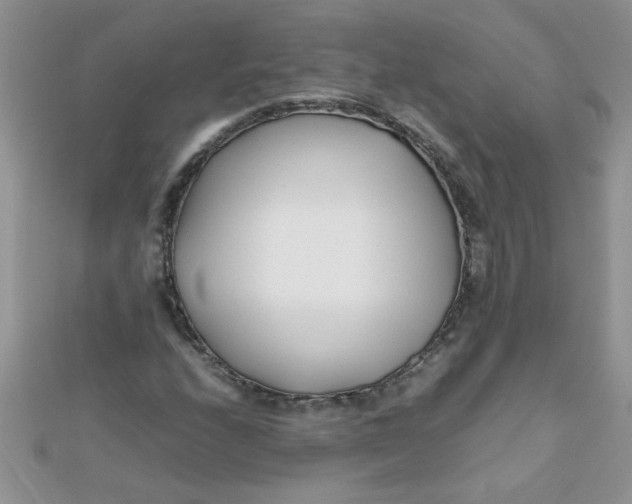 X0000112371208200909031924