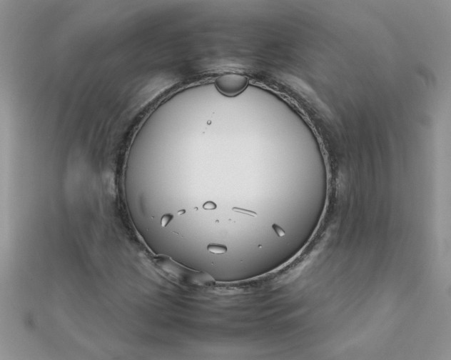 X0000112371209200909031924