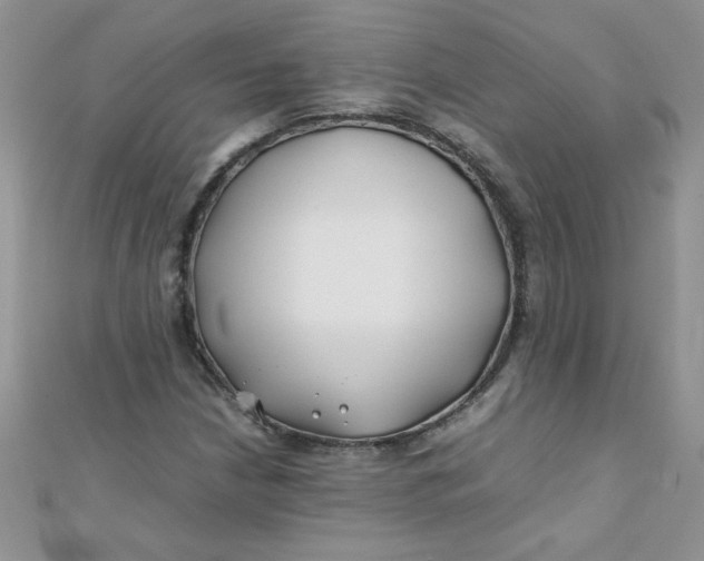 X0000112371210200909031924