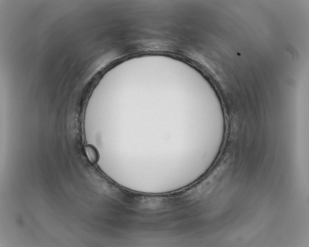 X0000112371211200909031924