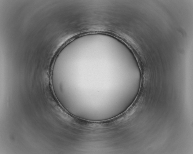 X0000112371212200909031924