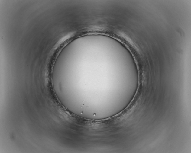 X0000112371213200909031924