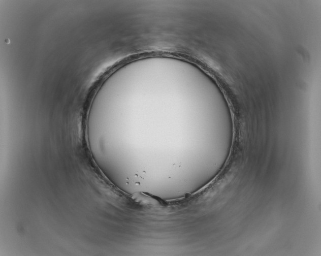 X0000112371214200909031924