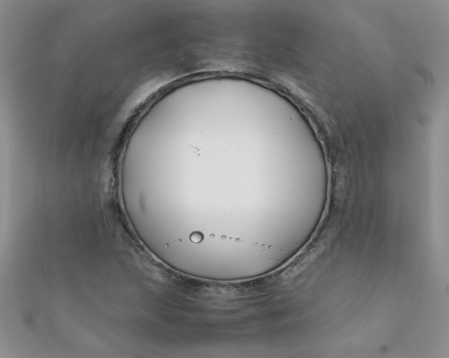 X0000112371215200909031924