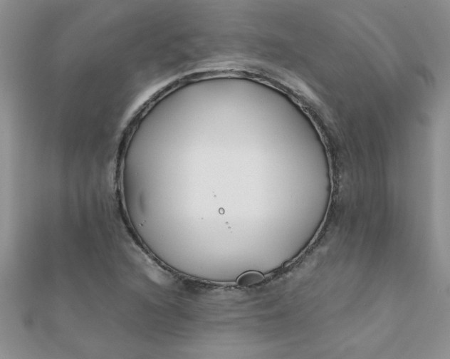 X0000112371216200909031924