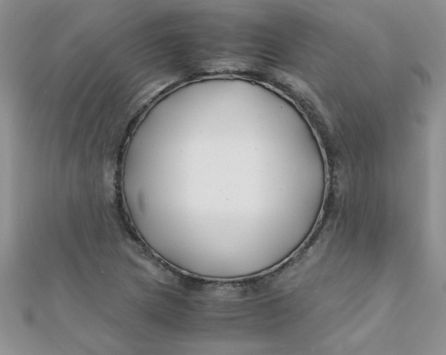 X0000112371217200909031924