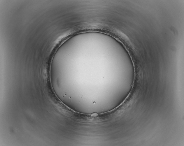 X0000112371218200909031924