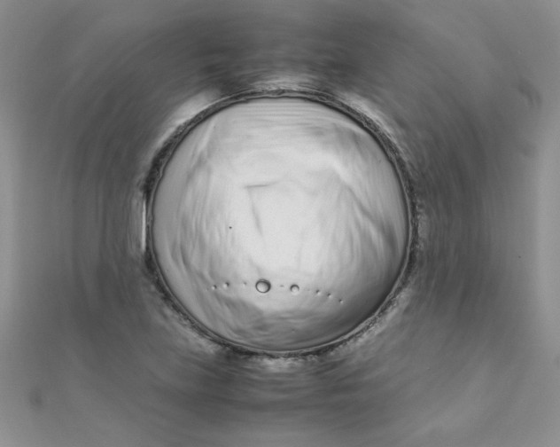 X0000112371219200909031924