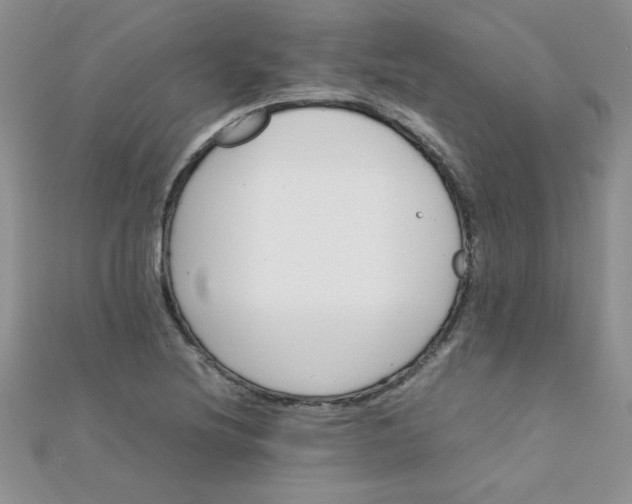 X0000112371220200909031924