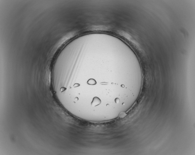 X0000112371221200909031924