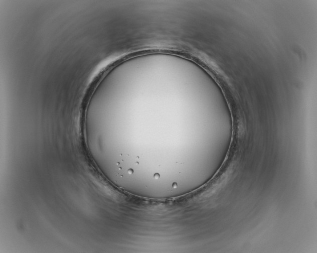 X0000112371222200909031924