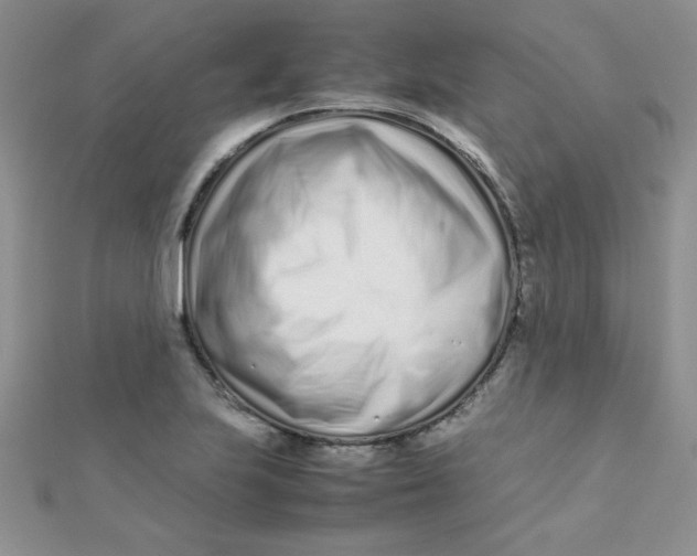 X0000112371223200909031924