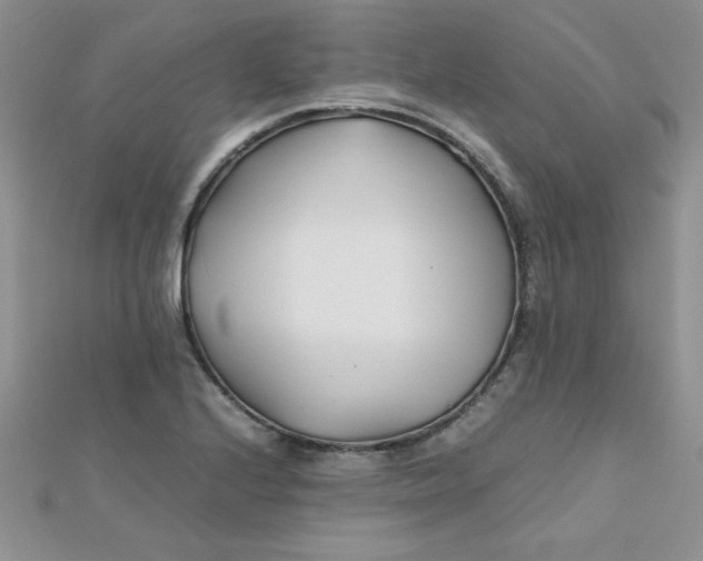 X0000112371224200909031924