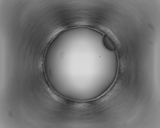 X0000112371225200909031924