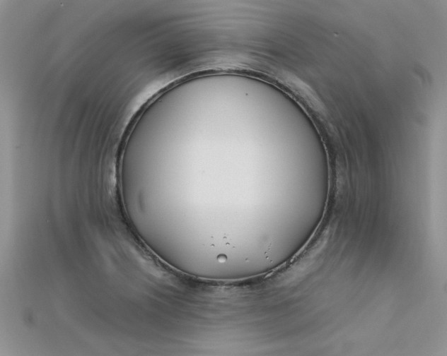 X0000112371226200909031924