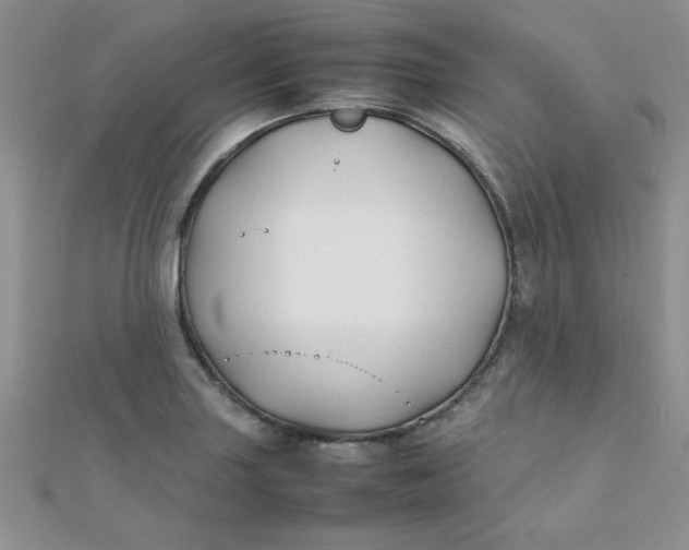 X0000112371227200909031924