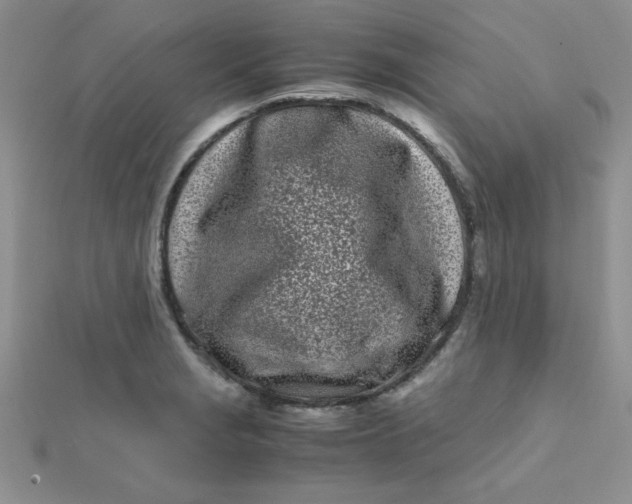 X0000112371229200909031924