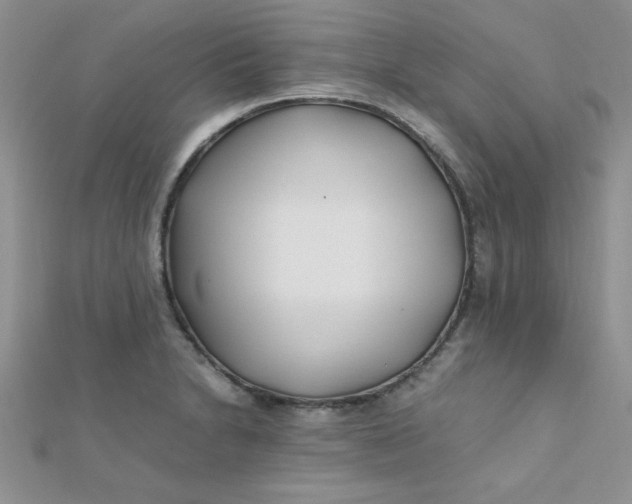 X0000112371230200909031924