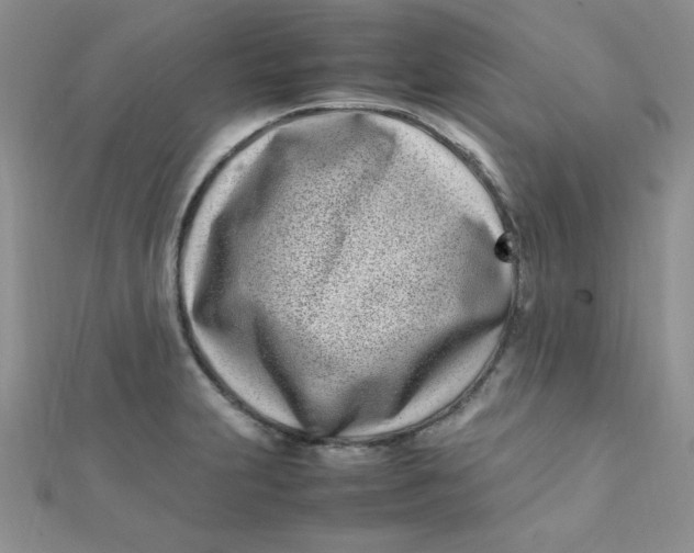 X0000112371231200909031924