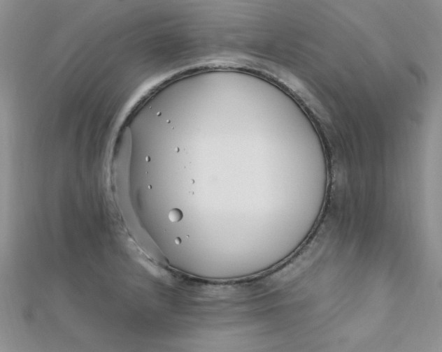 X0000112371232200909031925