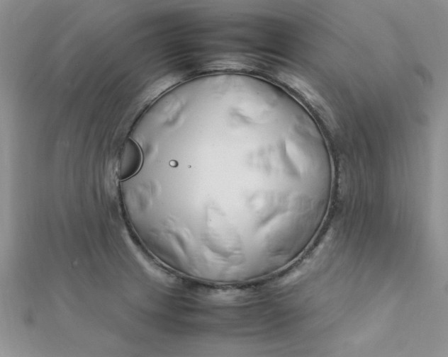 X0000112371233200909031925