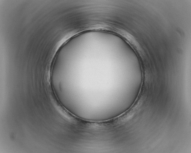 X0000112371234200909031925