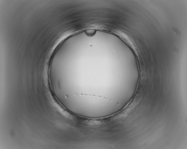 X0000112371235200909031925