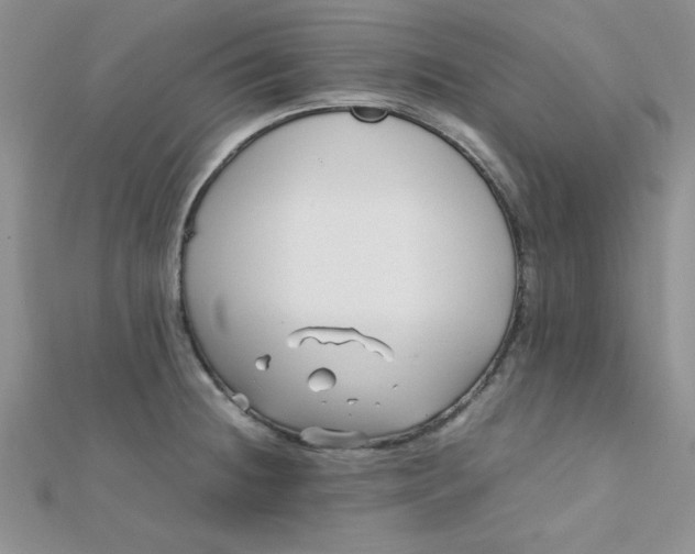 X0000112371236200909031925