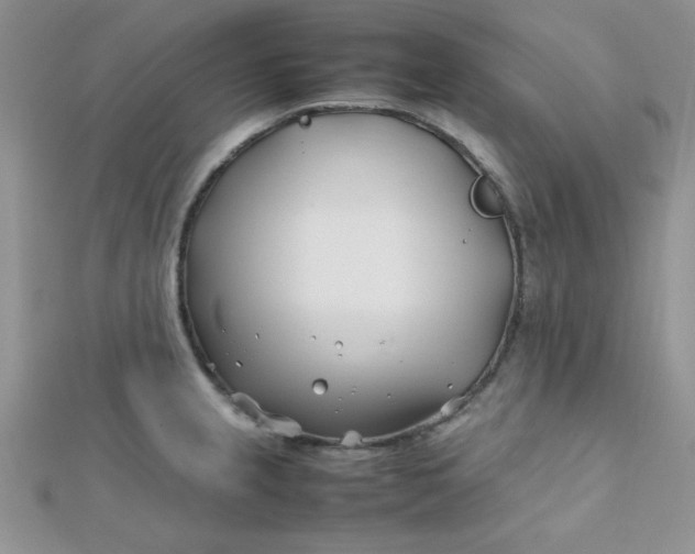 X0000112371237200909031925