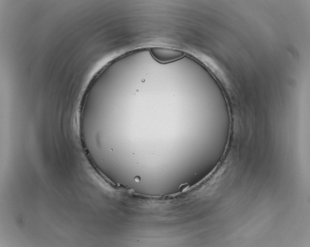 X0000112371238200909031925