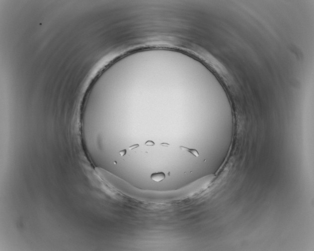 X0000112371240200909031925