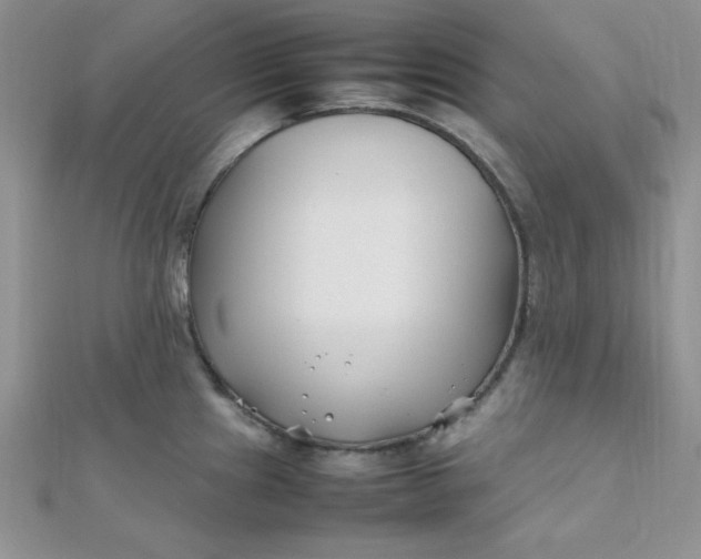 X0000112371241200909031925