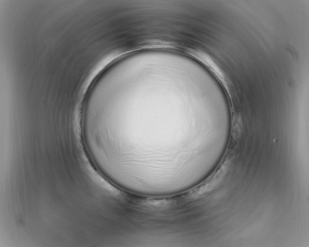 X0000112371243200909031925