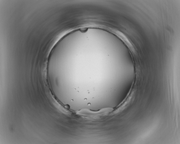 X0000112371244200909031925