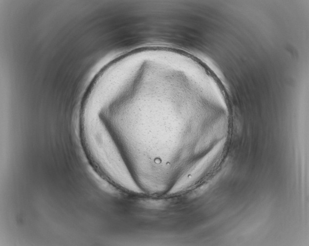 X0000112371245200909031925