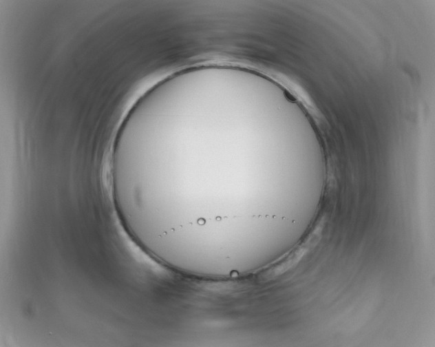 X0000112371247200909031925