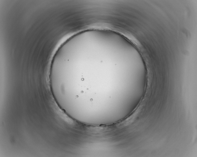 X0000112371248200909031925