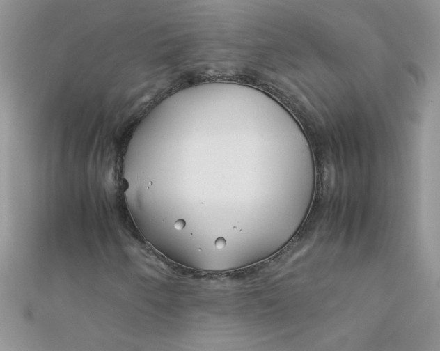 X0000112371250200909031924