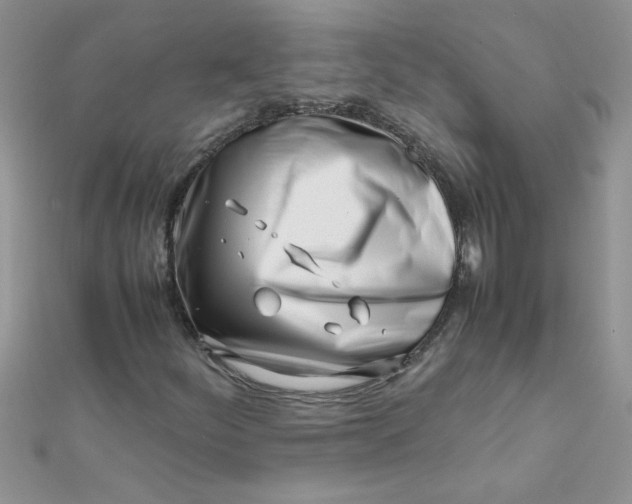 X0000112371252200909031924