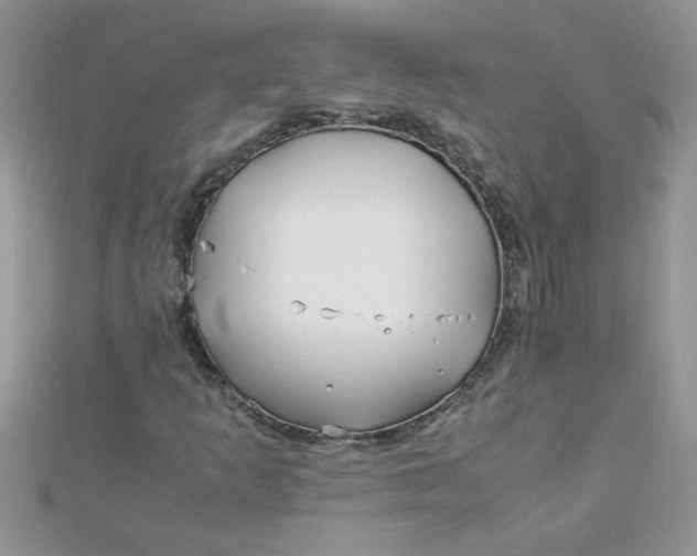 X0000112371253200909031924