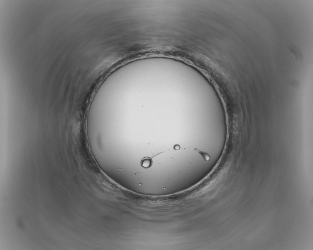 X0000112371257200909031924