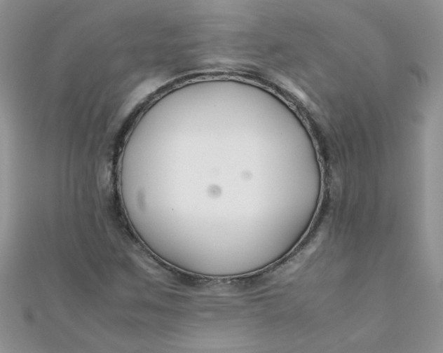 X0000112371259200909031924