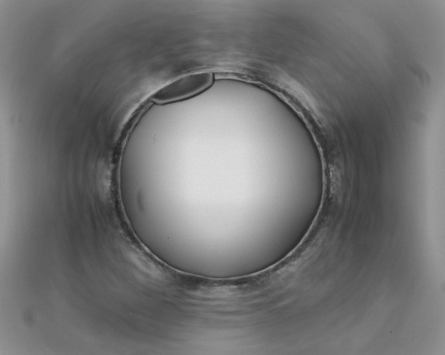 X0000112371260200909031924