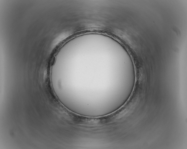 X0000112371261200909031924