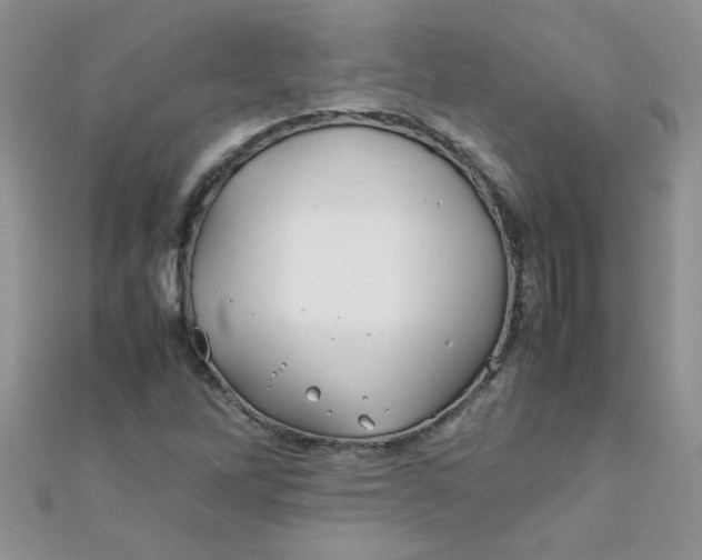 X0000112371262200909031924