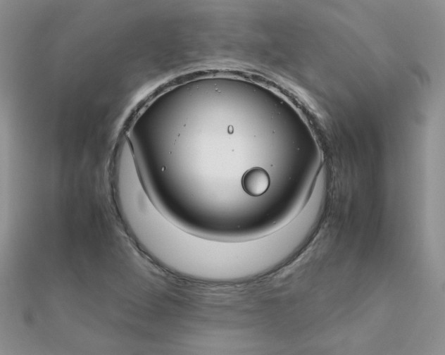 X0000112371264200909031924