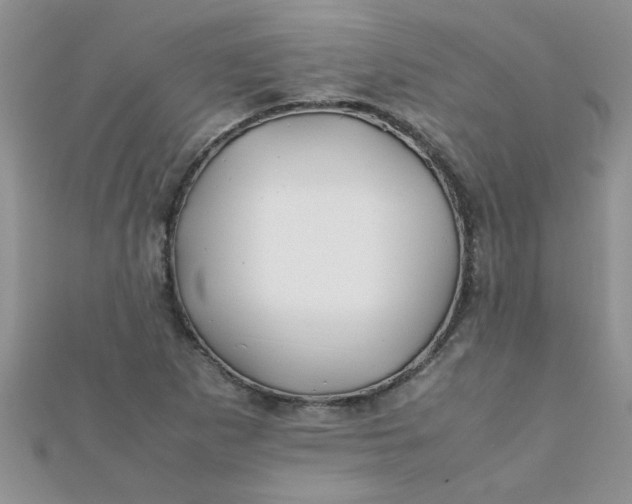 X0000112371265200909031924