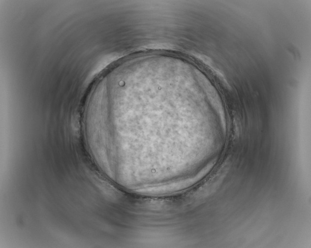 X0000112371266200909031924