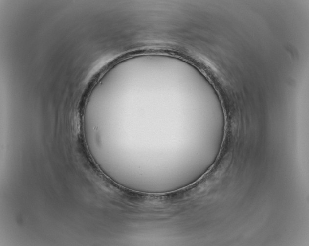 X0000112371267200909031924